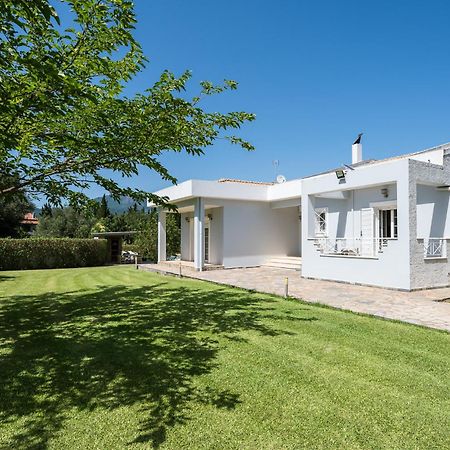 Villa Nefeli With Private Pool By Konnect Dassia  Zewnętrze zdjęcie